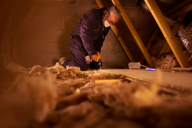Best Residential Insulation in Fayetteville, AR